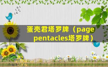 蛋壳君塔罗牌（page pentacles塔罗牌）